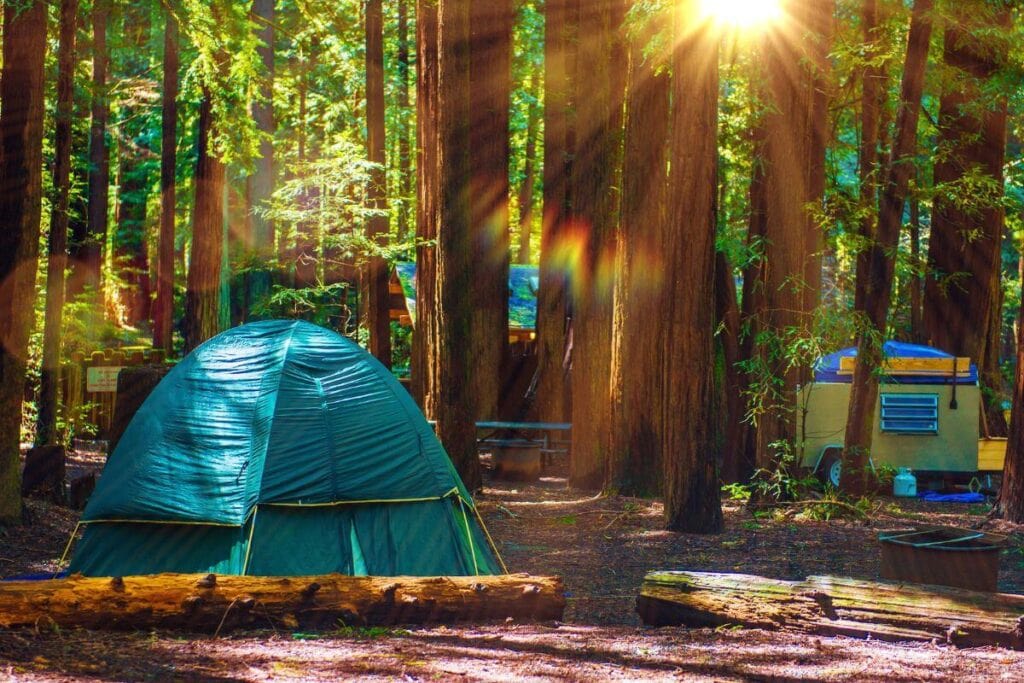 Camping in Redwood National Park