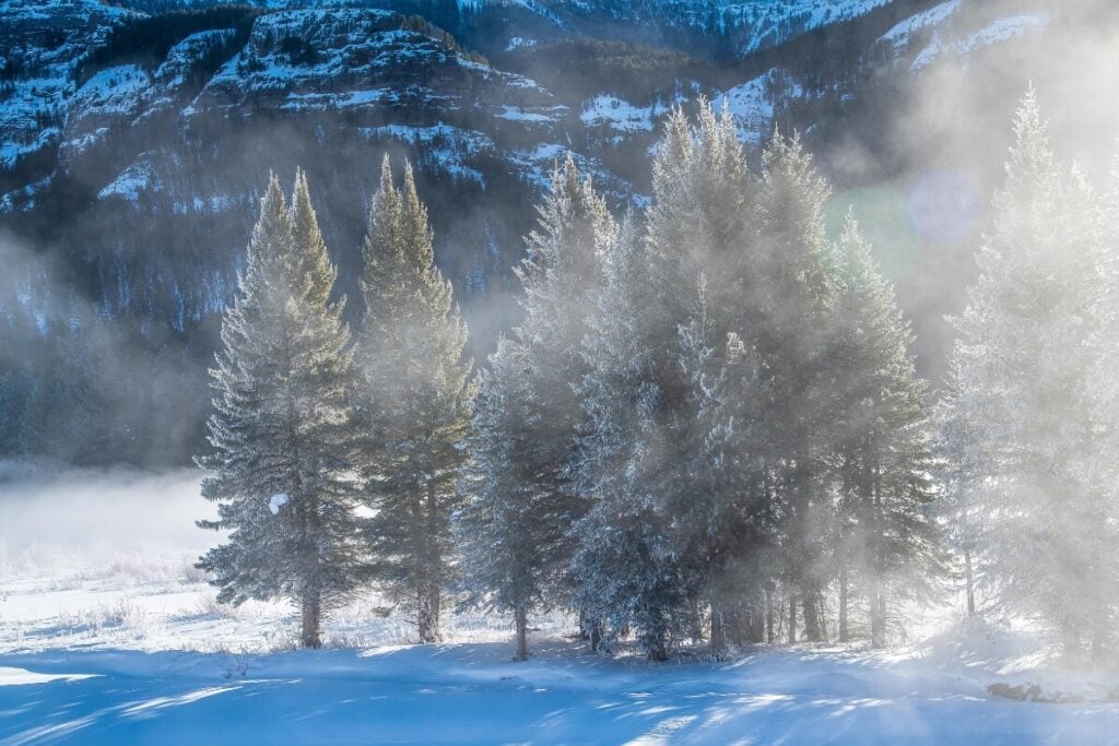 yellowstone national park during a bright winter morning