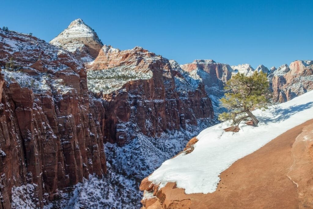 zion national park utah covered in winter snow