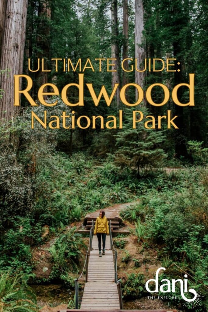 complete guide to redwood national park