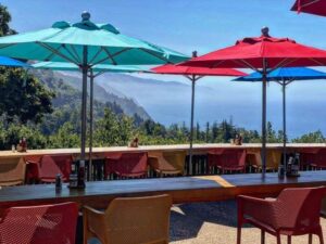 13 Best Stops Along Big Sur Highway 1 You Must See - Dani The Explorer