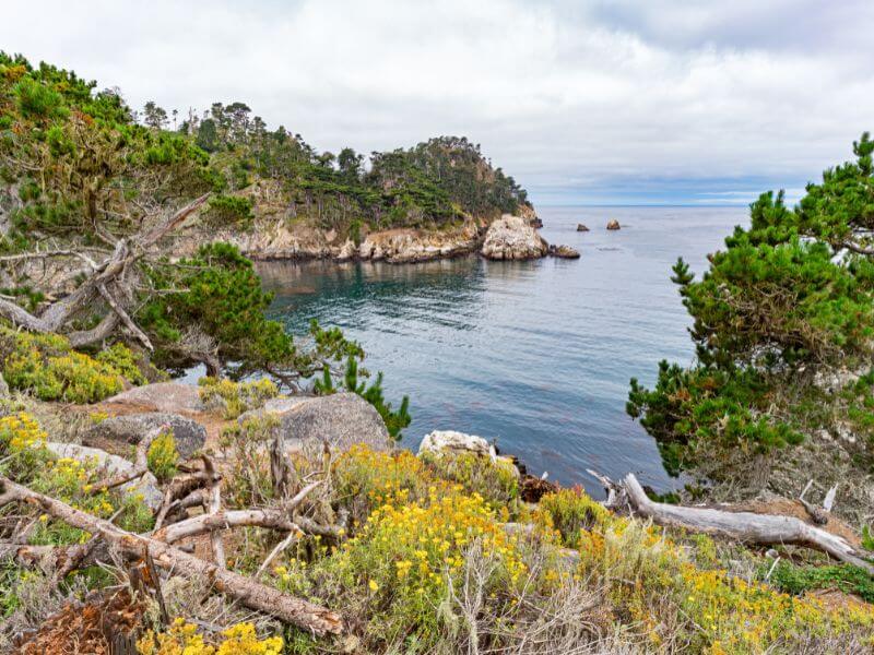 point lobos state natural reserve california