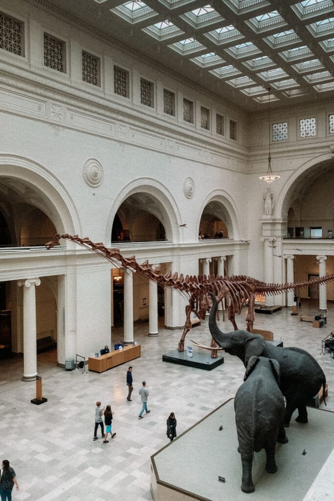 inside Field Museum Chicago