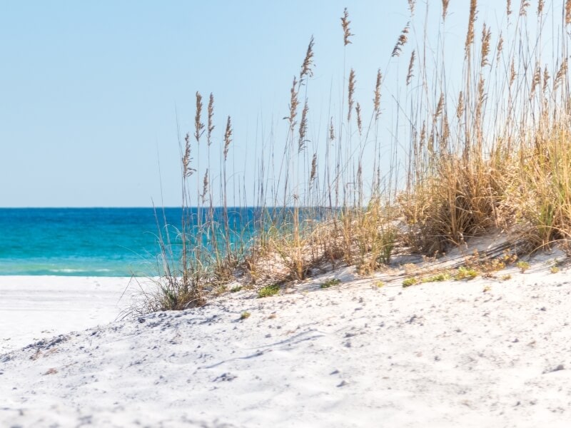 florida barrier dunes