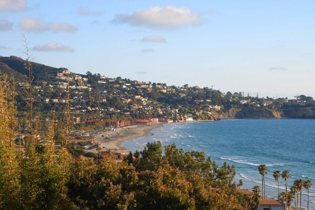 clear skies over the ocean and greenery along La Jolla, California 