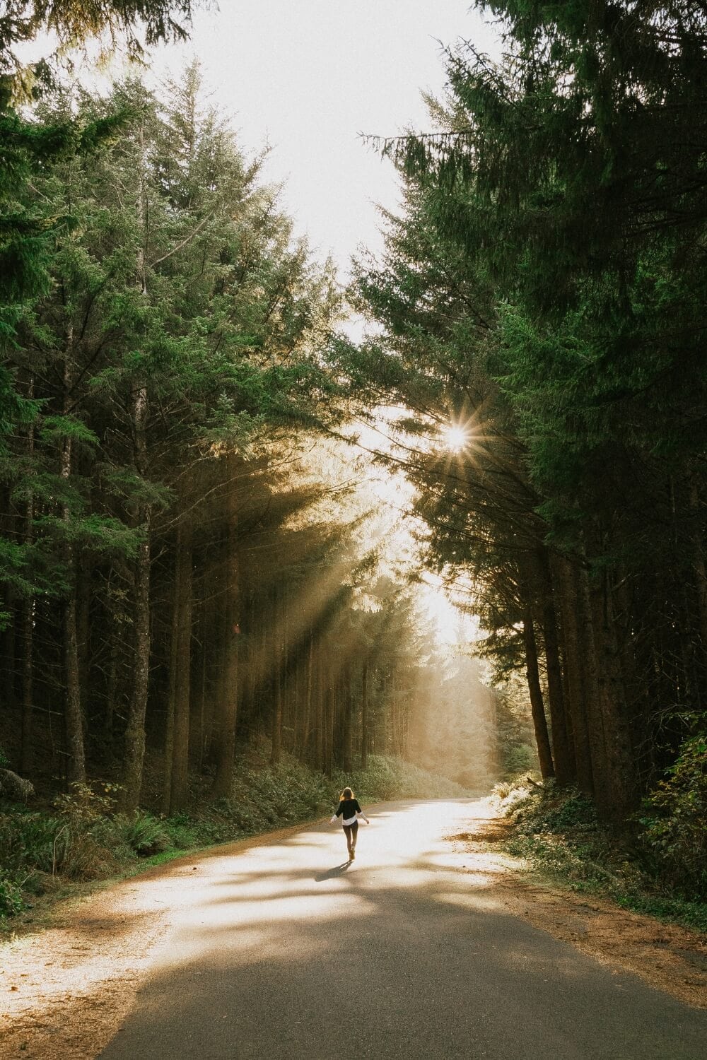 girl looking at sunset over Samuel H. Boardman State Scenic Corridor