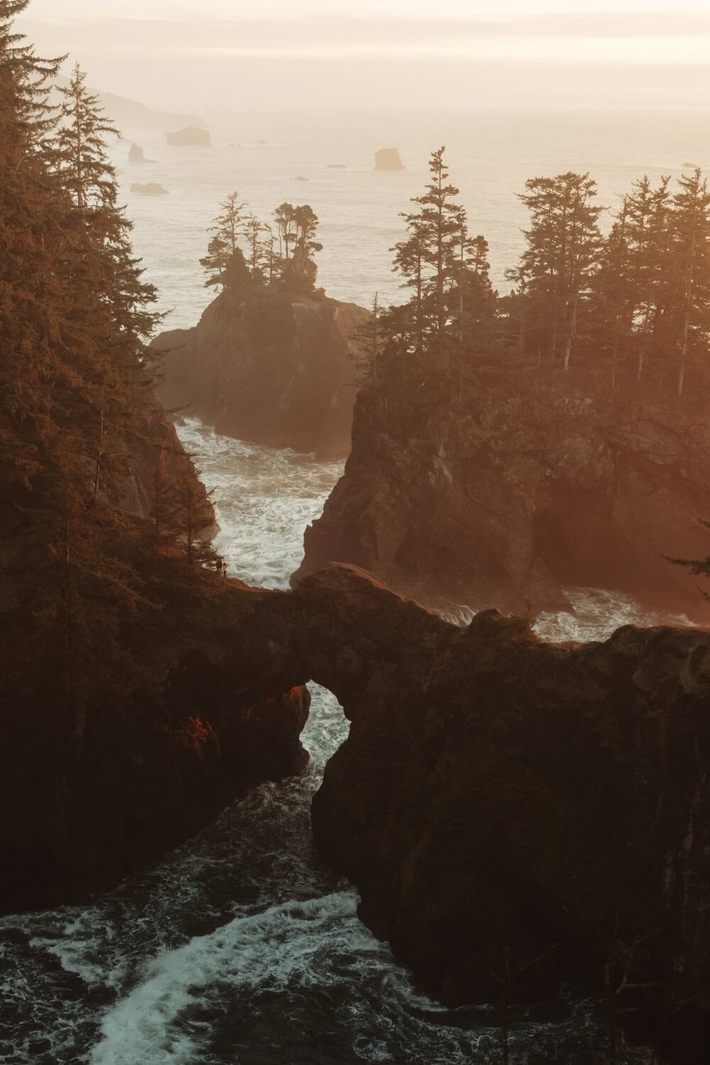 sunset over natural bridges at Samuel H. Boardman State Scenic Corridor