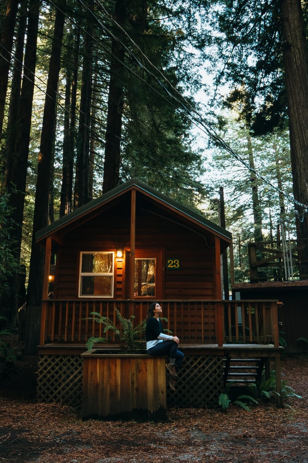 girl looking at a cabin in the california redwoods