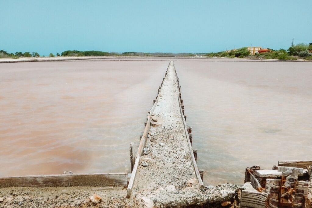 sunny day over the salinas de cabo rojo