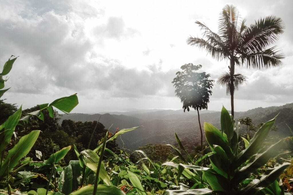 cloudy day over the yokahu observation tower in puerto rico