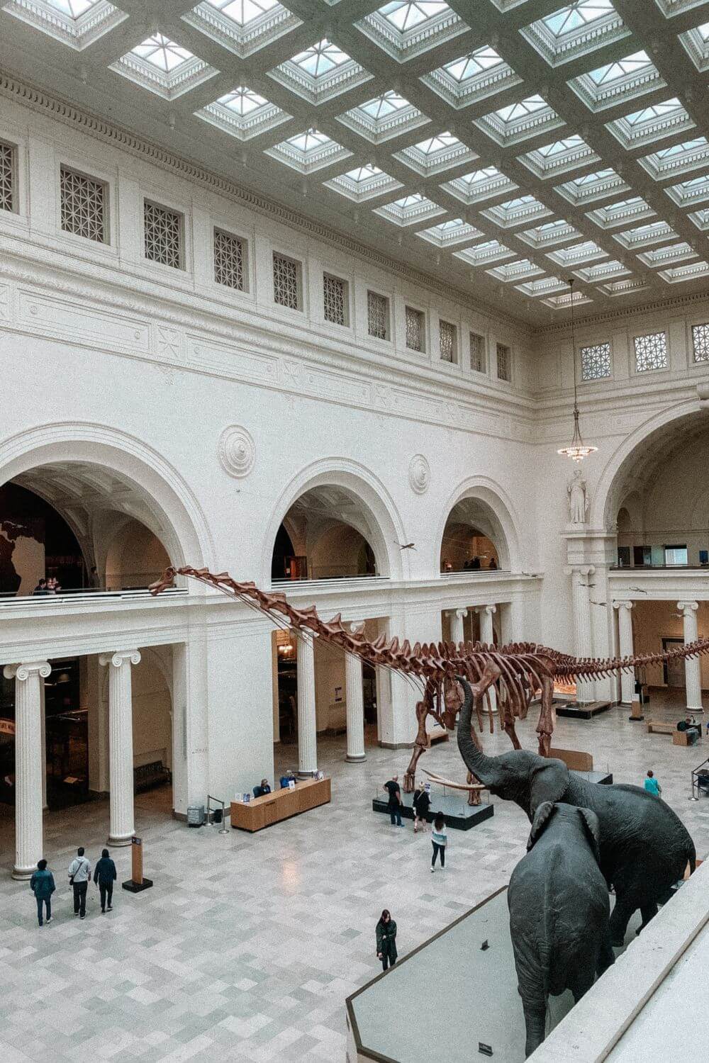 field museum chicago