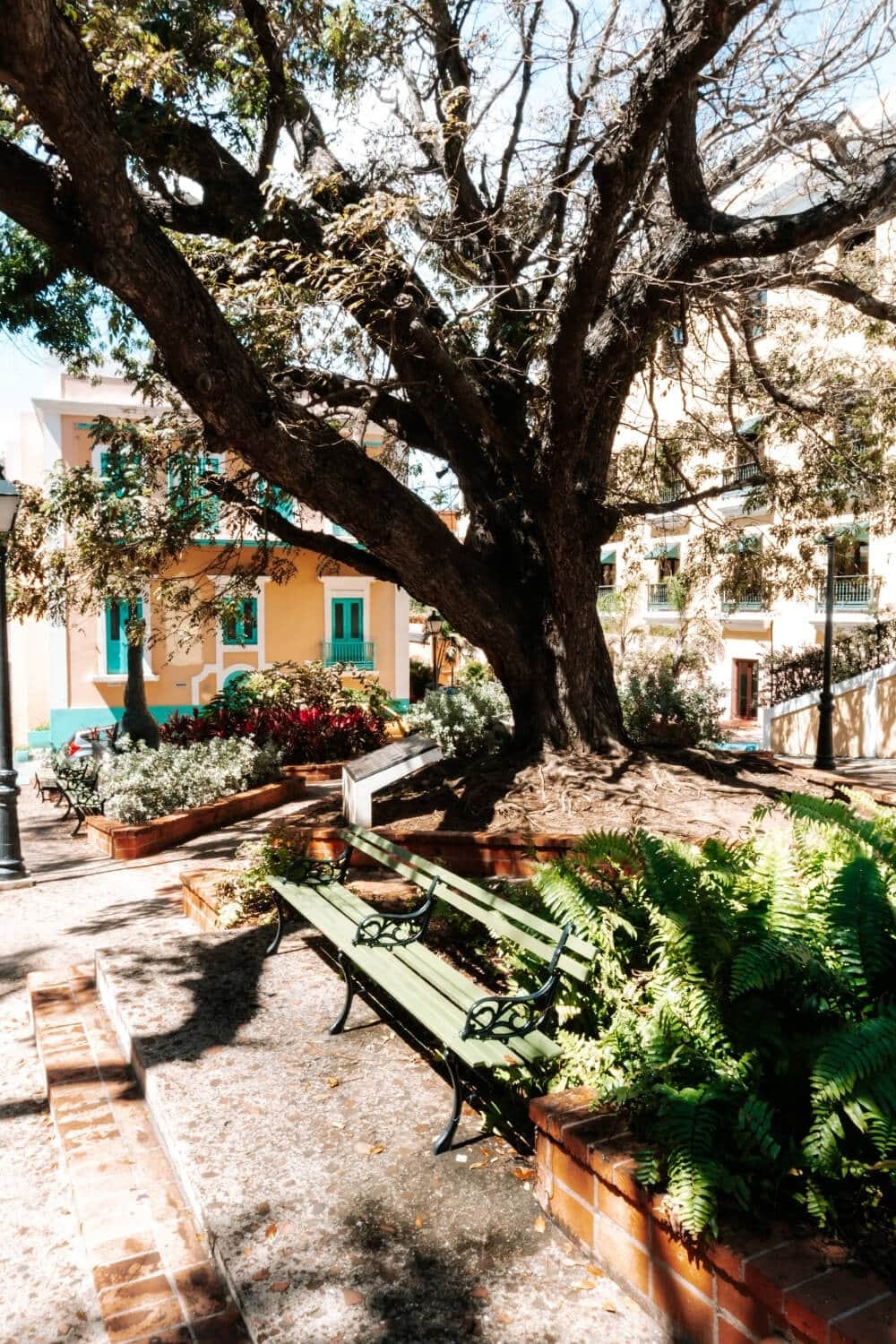 sunny day over plaza de la catedral old san juan instagrammable spot