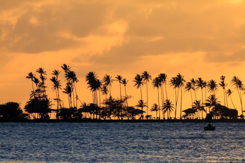 sunset along a palm tree lined harbor in puerto rico