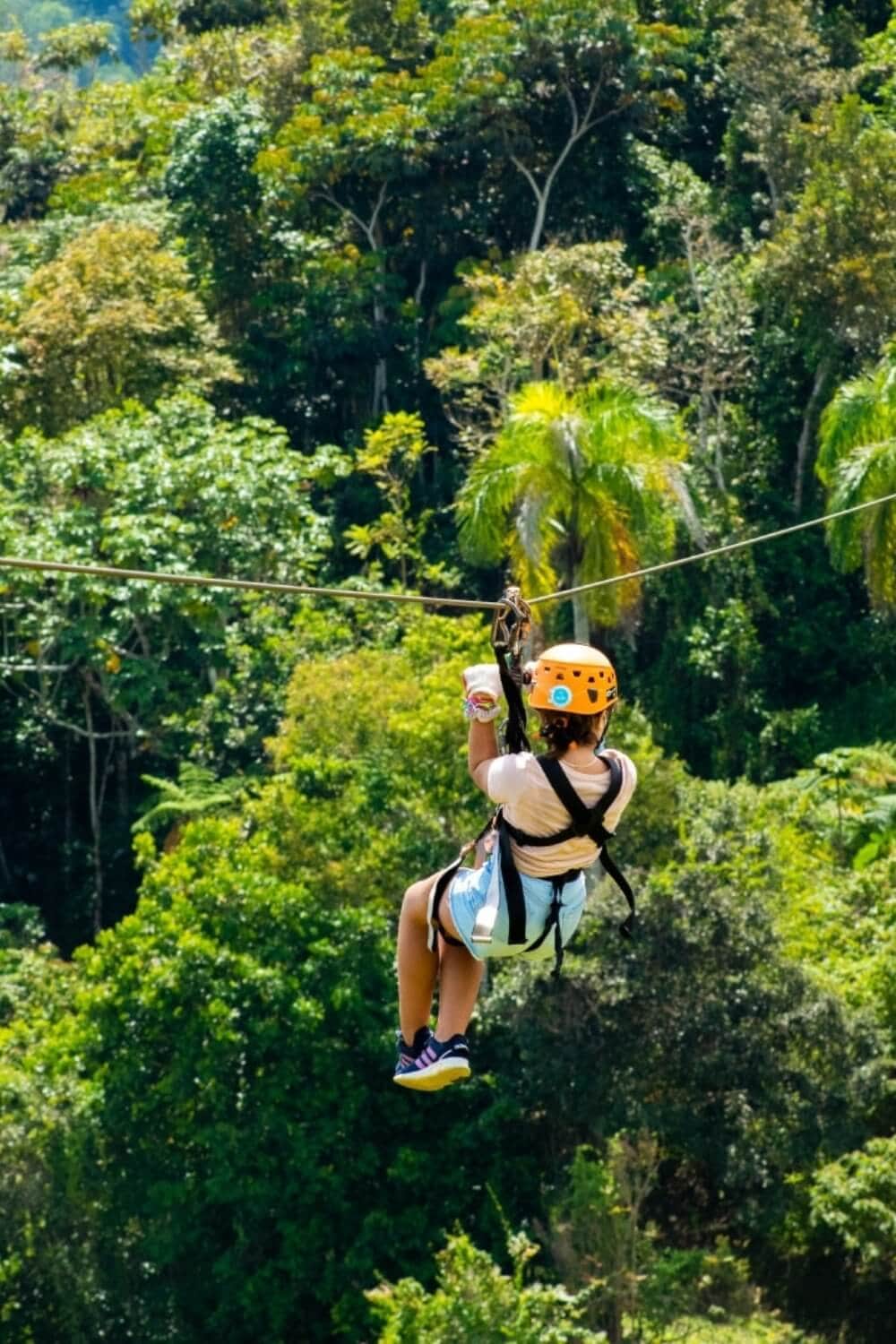 puerto rico toro verde adventure park