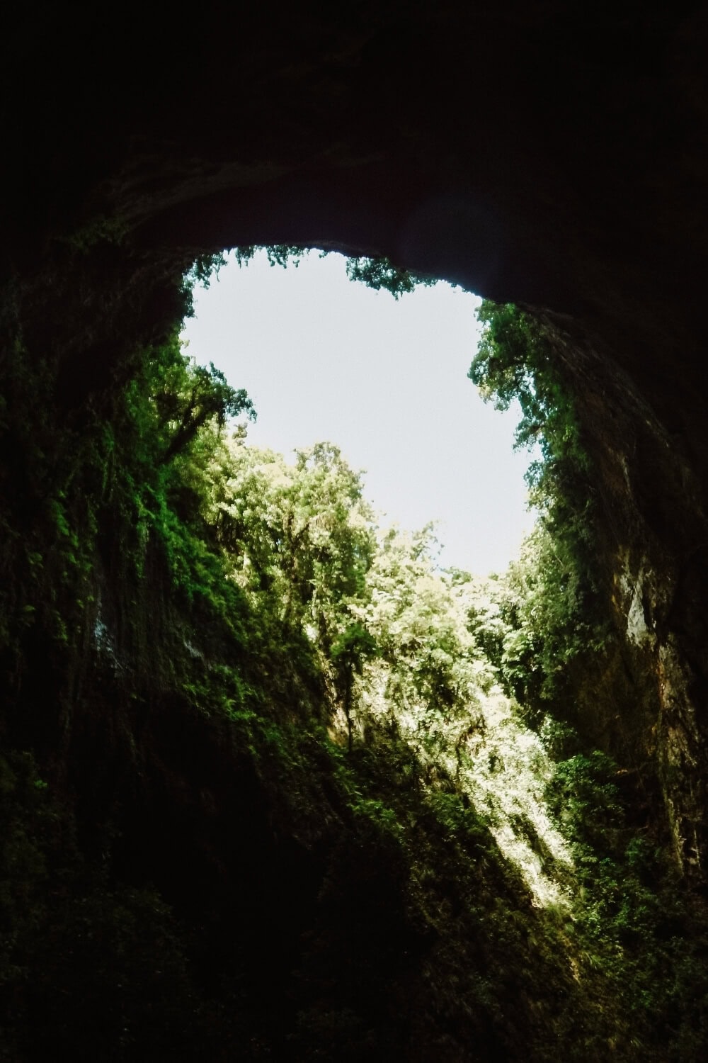 rio camuy puerto rico