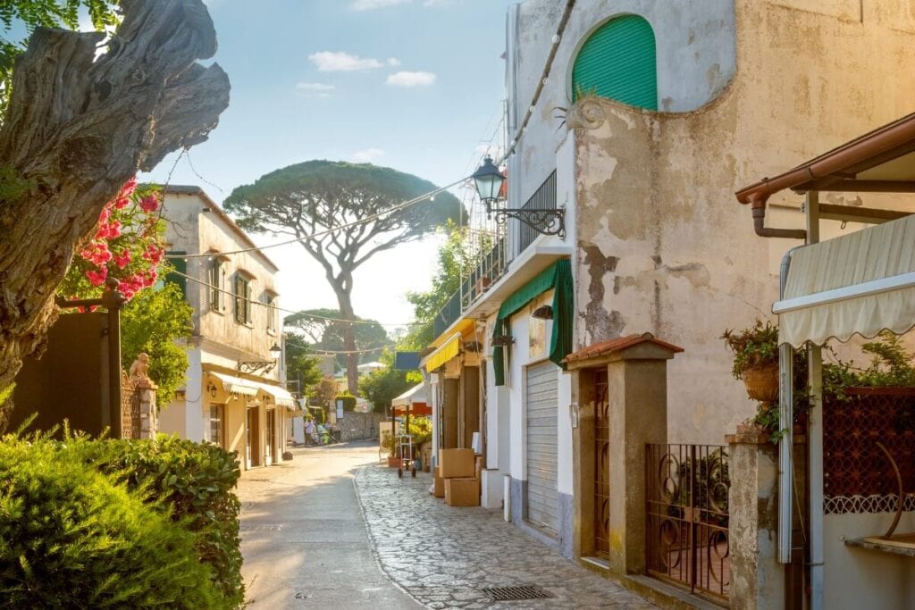 beautiful street lining capri at sunrise